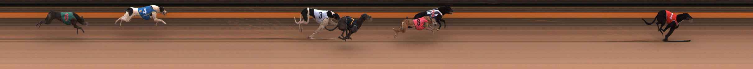 Photo finish for Ballarat Race 2