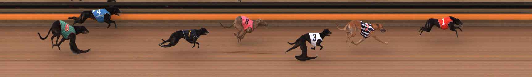 Photo finish for Ballarat Race 3