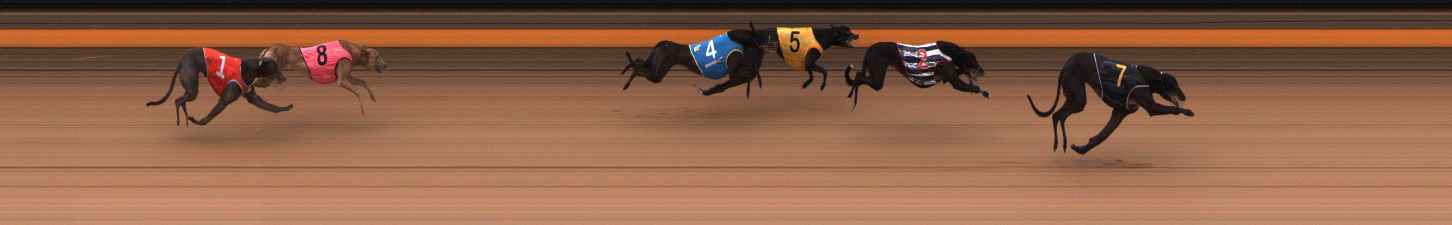 Photo finish for Ballarat Race 4