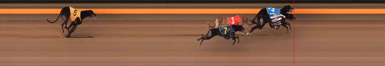 Photo finish for Ballarat Race 5