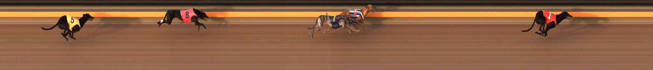Photo finish for Ballarat Race 6