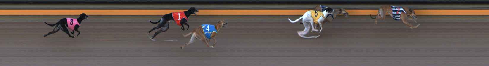 Photo finish for Ballarat Race 8