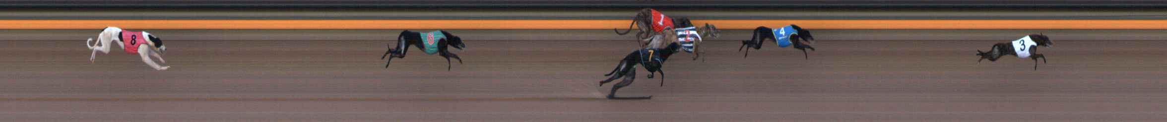 Photo finish for Ballarat Race 10