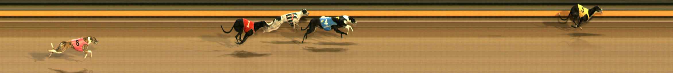 Photo finish for Ballarat Race 11