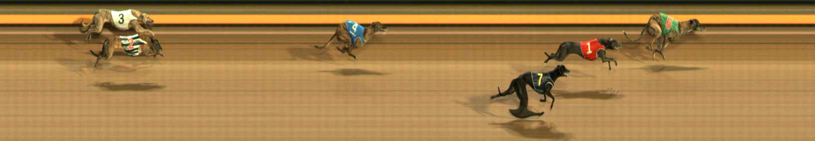 Photo finish for Ballarat Race 12