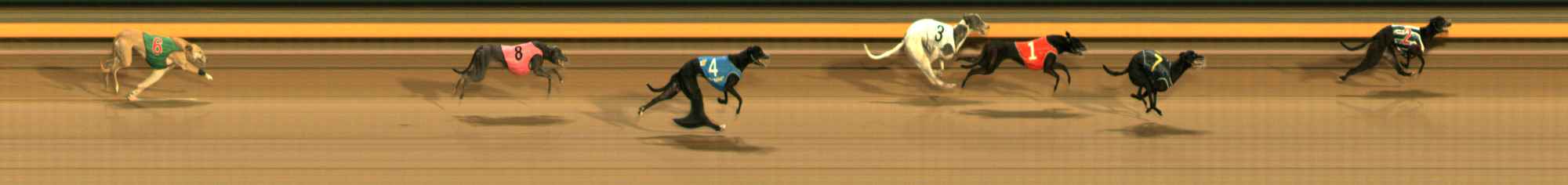 Photo finish for Ballarat Race 13