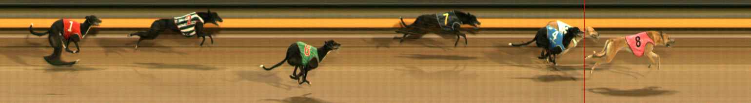 Photo finish for Ballarat Race 5