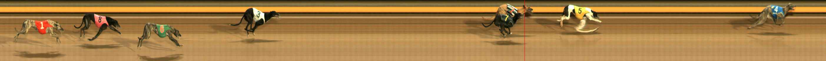 Photo finish for Ballarat Race 8