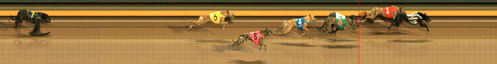 Photo finish for Ballarat Race 11
