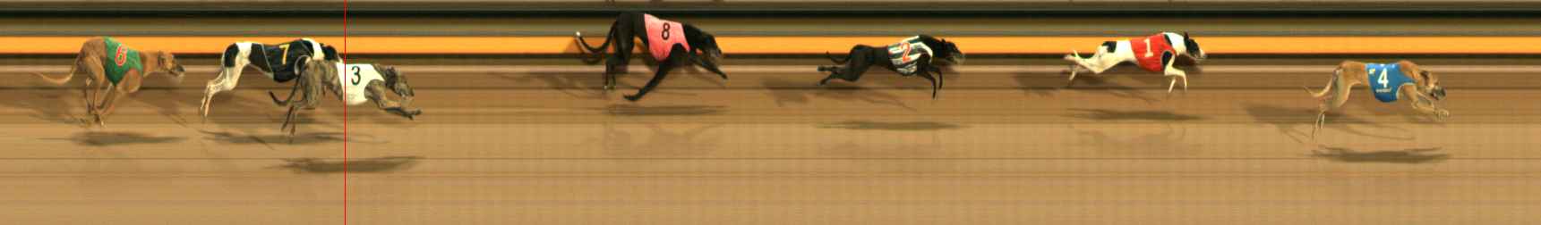 Photo finish for Ballarat Race 12
