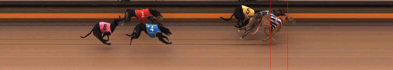 Photo finish for Ballarat Race 3