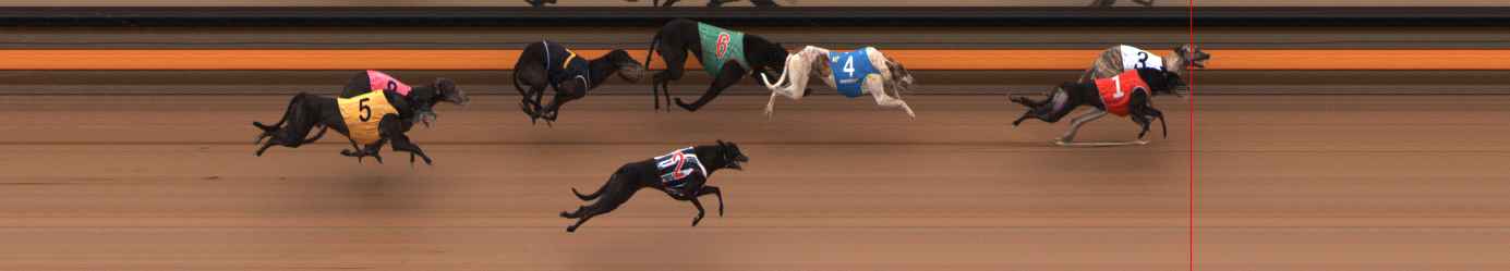 Photo finish for Ballarat Race 5