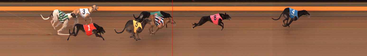 Photo finish for Ballarat Race 6