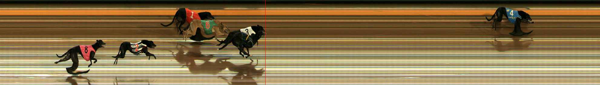 Photo finish for Ballarat Race 9