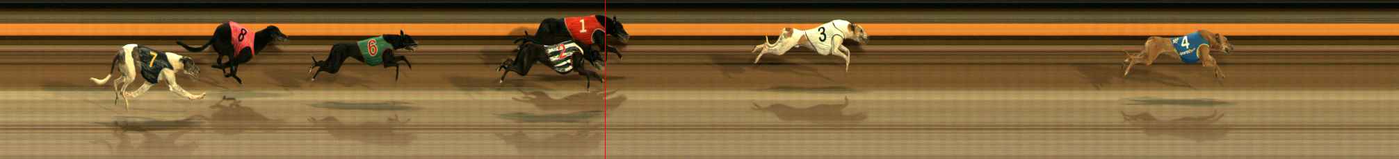 Photo finish for Ballarat Race 11