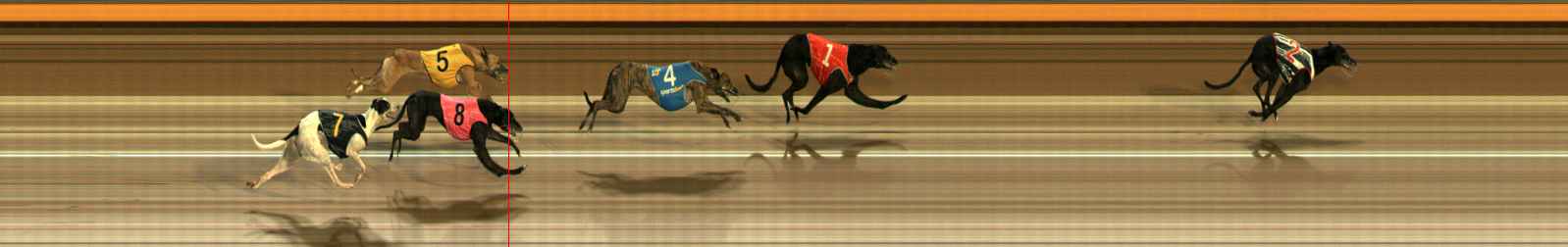 Photo finish for Ballarat Race 12