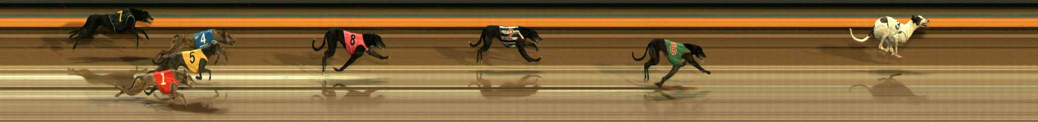 Photo finish for Ballarat Race 13