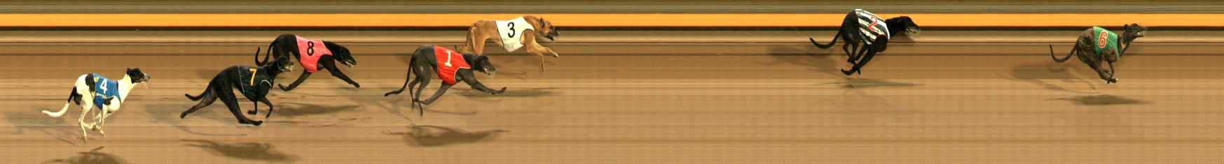Race result finish photo