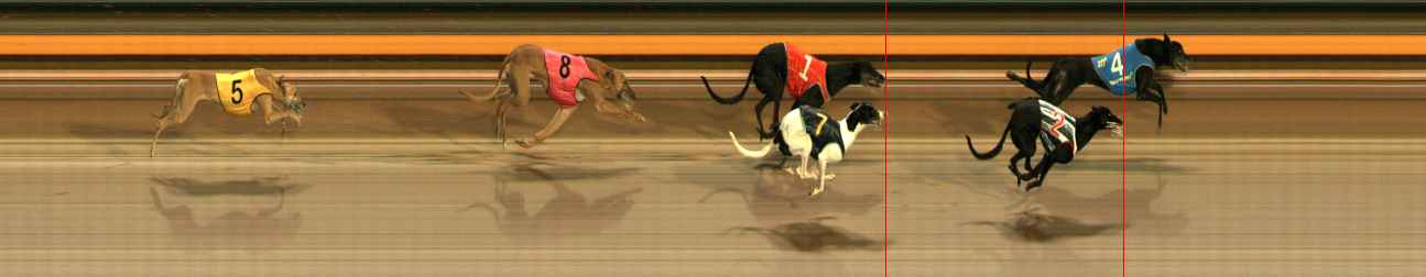 Photo finish for Ballarat Race 10