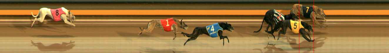 Photo finish for Ballarat Race 11