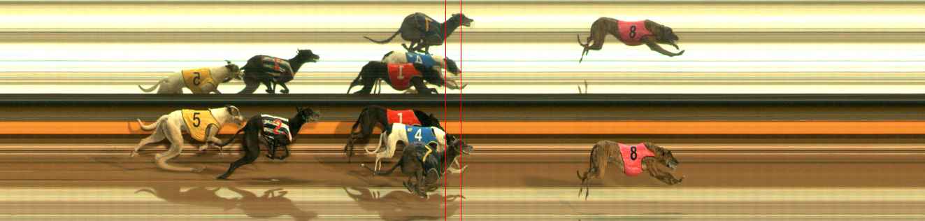 Photo finish for Ballarat Race 12