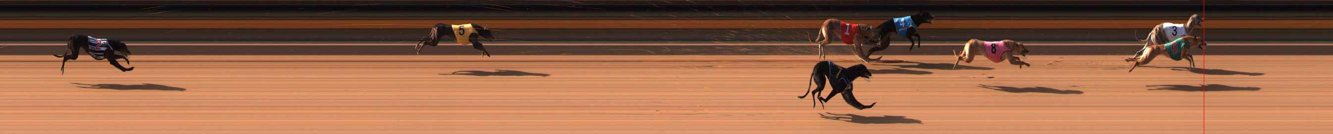 Race result finish photo