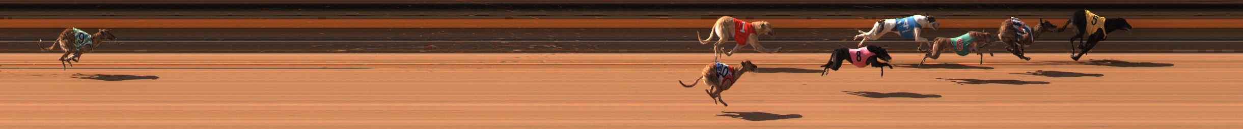 Photo finish for Ballarat Race 2