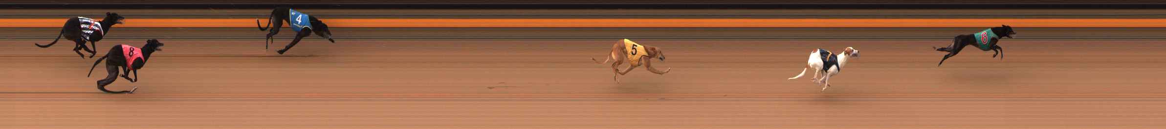 Photo finish for Ballarat Race 3