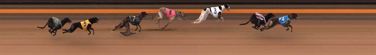 Photo finish for Ballarat Race 4