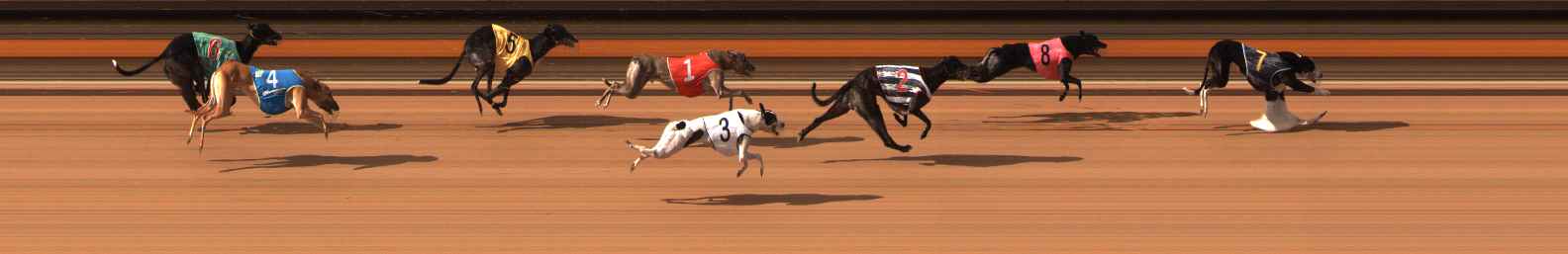 Photo finish for Ballarat Race 6