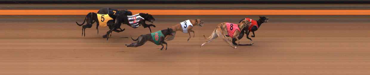 Photo finish for Ballarat Race 9