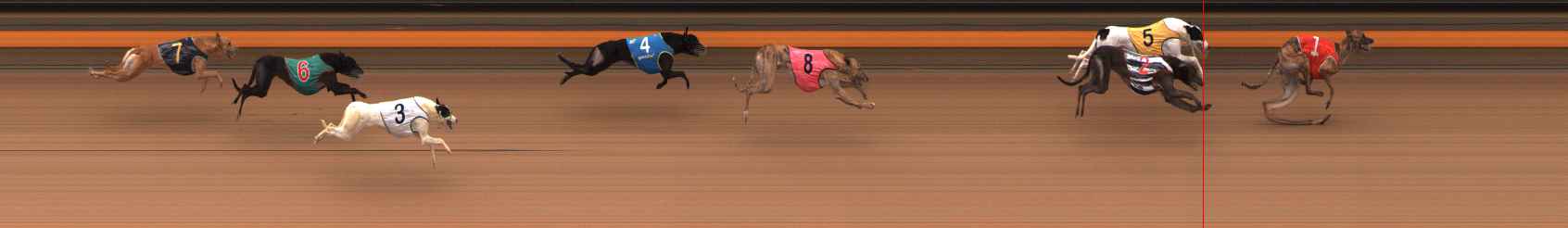 Photo finish for Ballarat Race 13