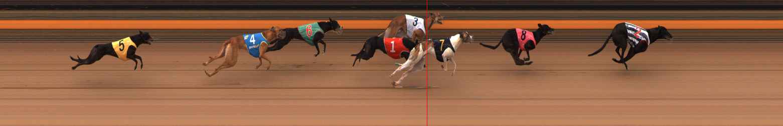 Photo finish for Ballarat Race 14