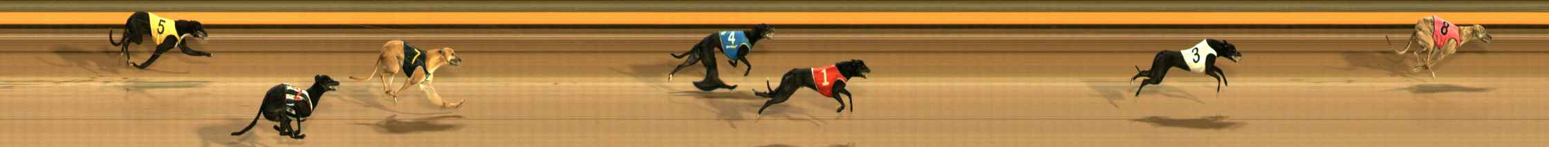 Photo finish for Ballarat Race 1
