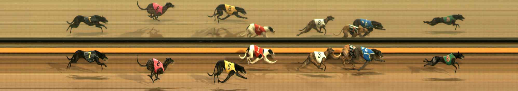 Photo finish for Ballarat Race 2