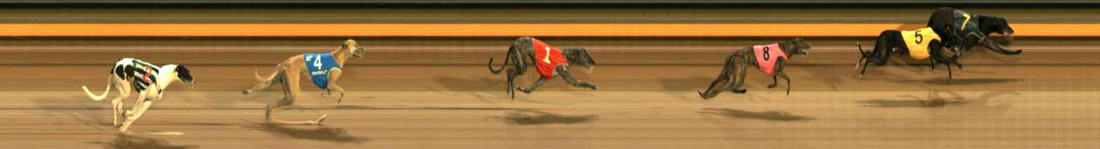 Photo finish for Ballarat Race 4