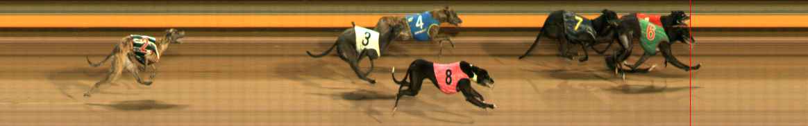 Photo finish for Ballarat Race 5