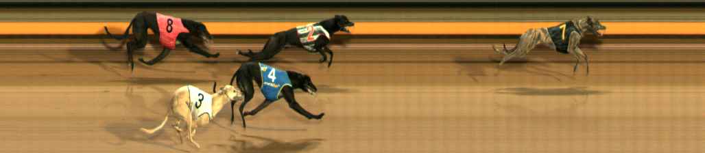 Photo finish for Ballarat Race 6