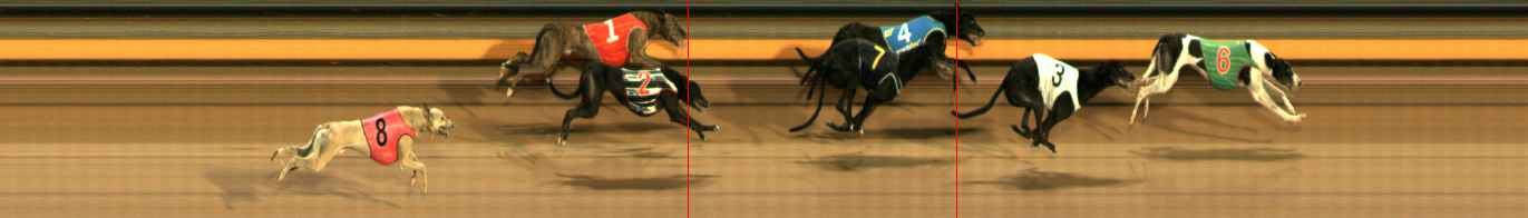 Photo finish for Ballarat Race 8