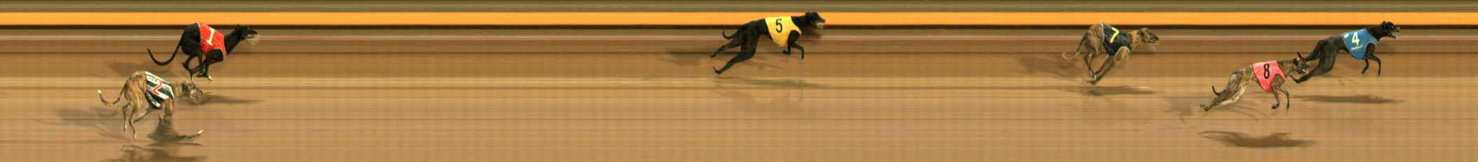 Photo finish for Ballarat Race 9
