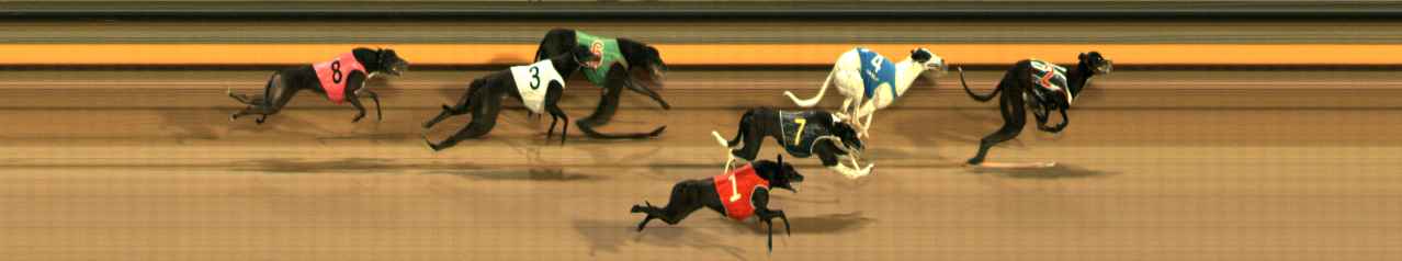 Photo finish for Ballarat Race 10