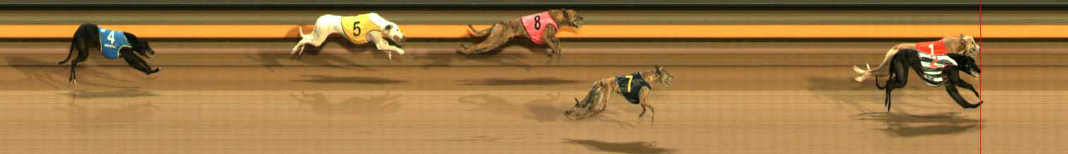 Photo finish for Ballarat Race 11