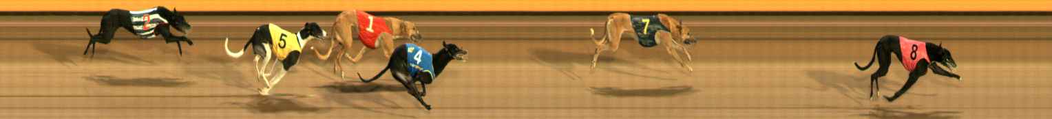 Photo finish for Ballarat Race 12
