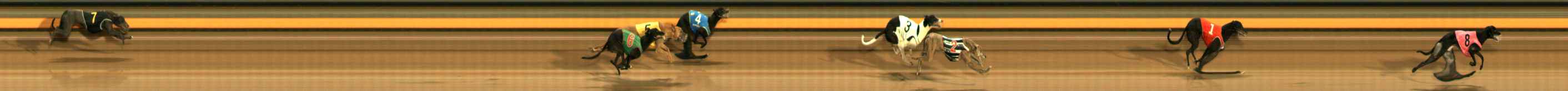 Photo finish for Ballarat Race 14