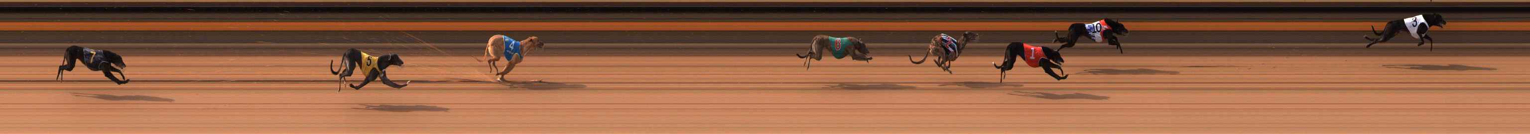 Photo finish for Ballarat Race 2
