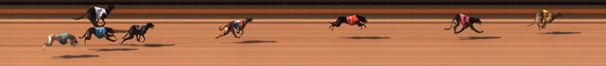Photo finish for Ballarat Race 5