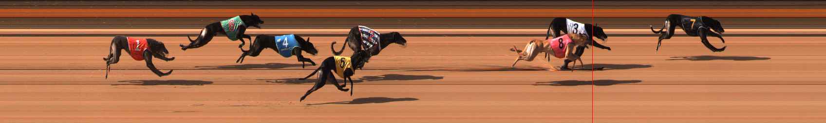 Photo finish for Ballarat Race 6