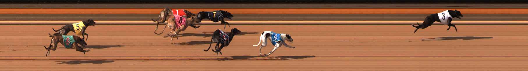 Photo finish for Ballarat Race 7