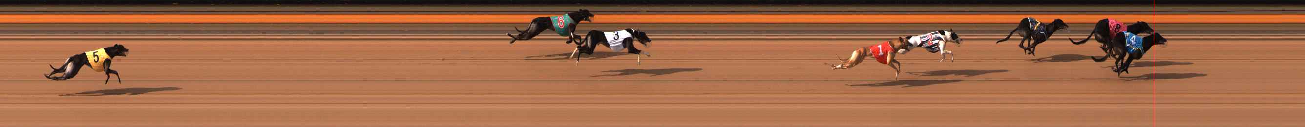 Photo finish for Ballarat Race 8