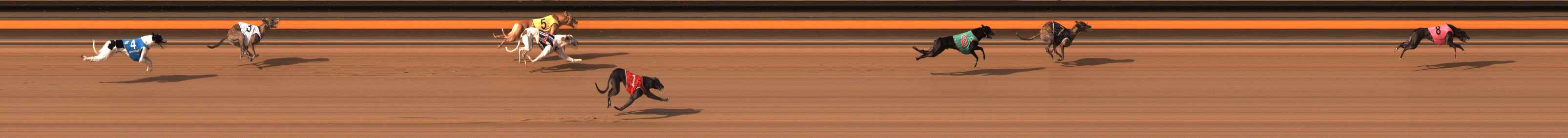Photo finish for Ballarat Race 9